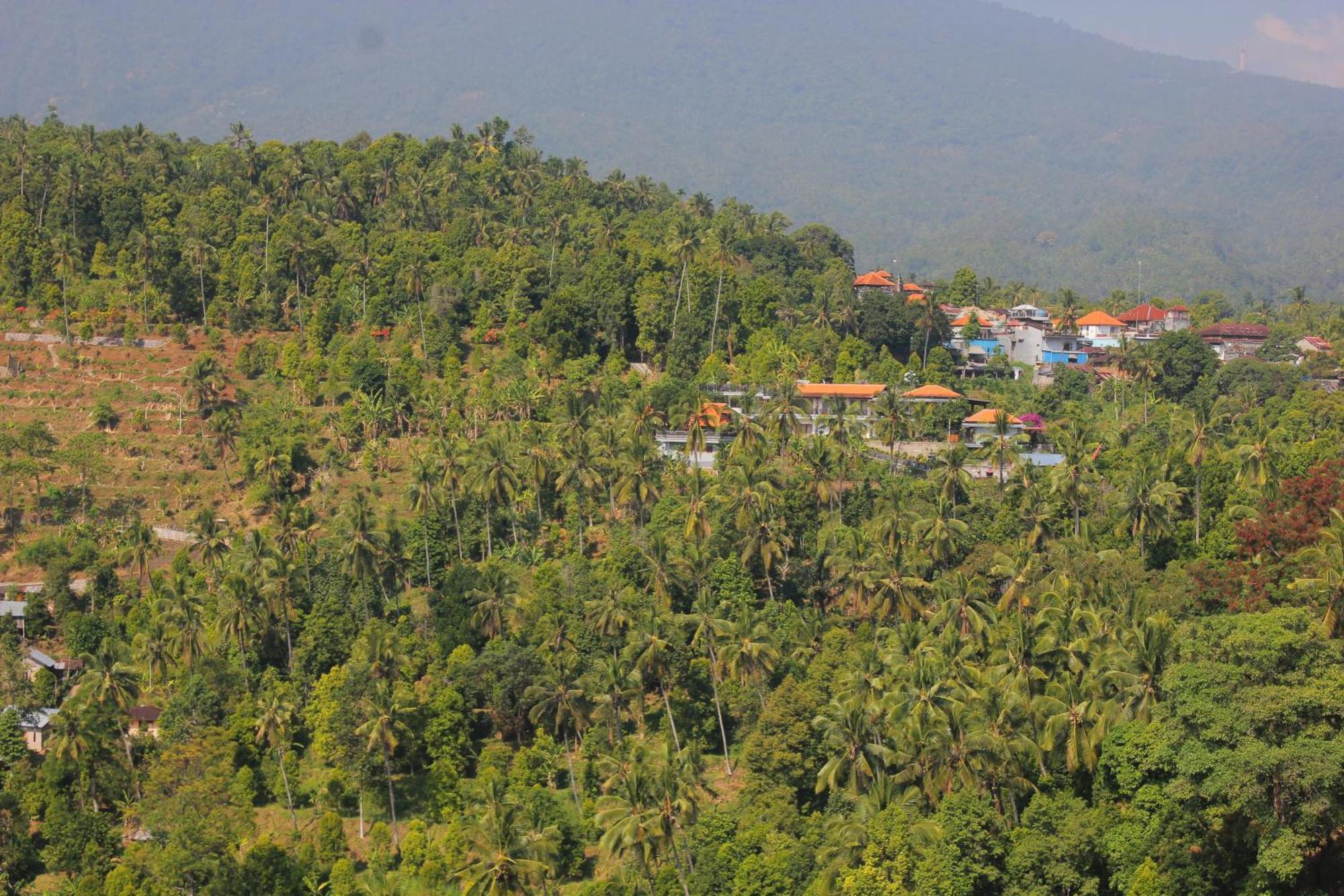 Rostika Hotel Sekumpul Pabean Buleleng Buitenkant foto